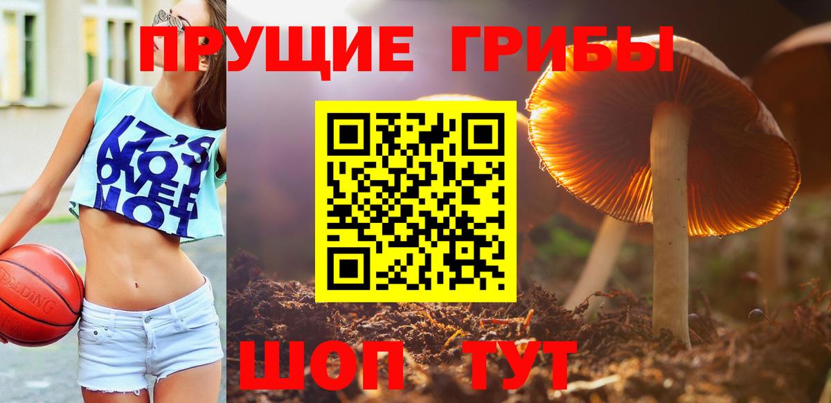 Березники  Галлюциногенные грибы Psilocybine cubensis  Псилоцибиновые грибы мицелий  Вход с VPN 